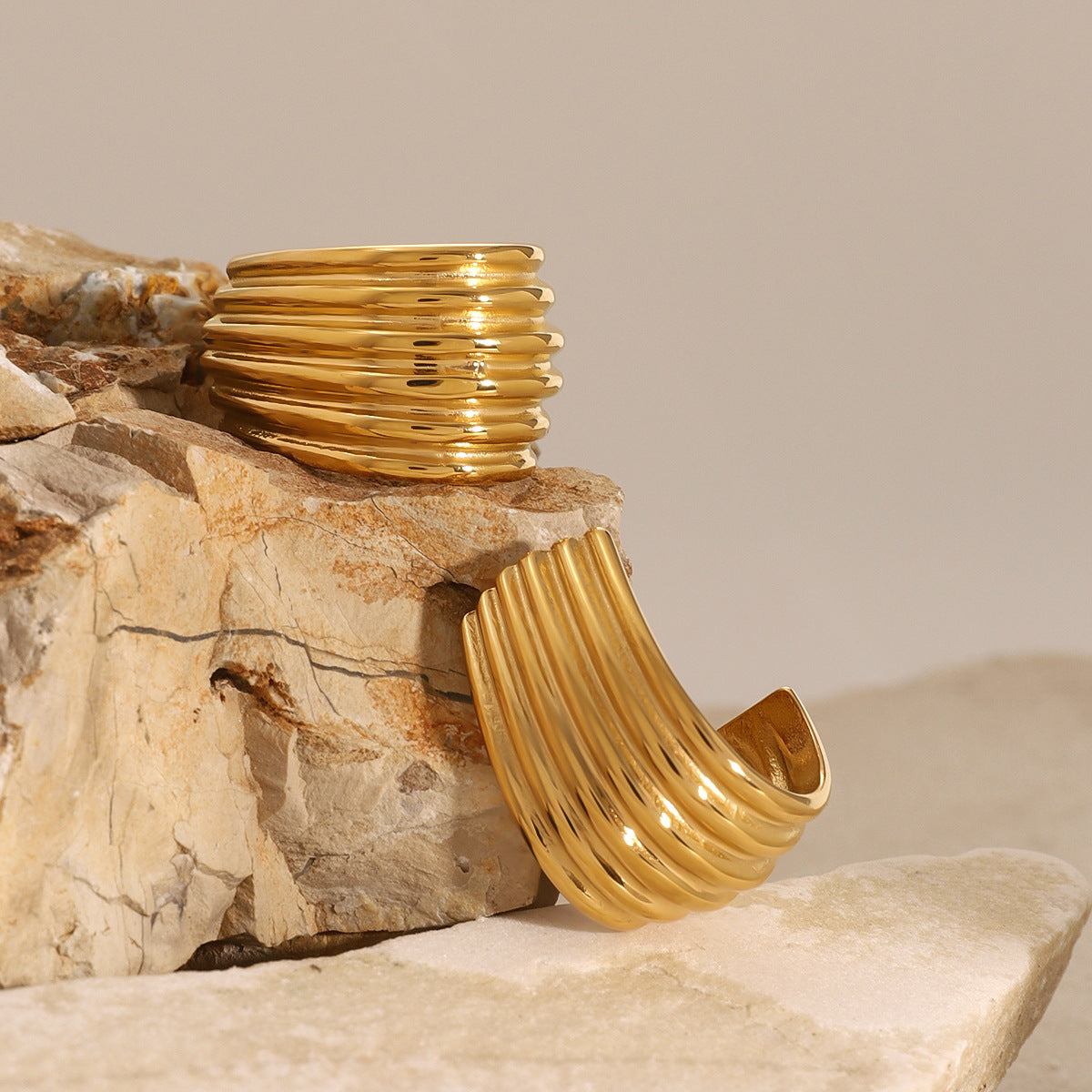 Stainless Steel Double C Earrings