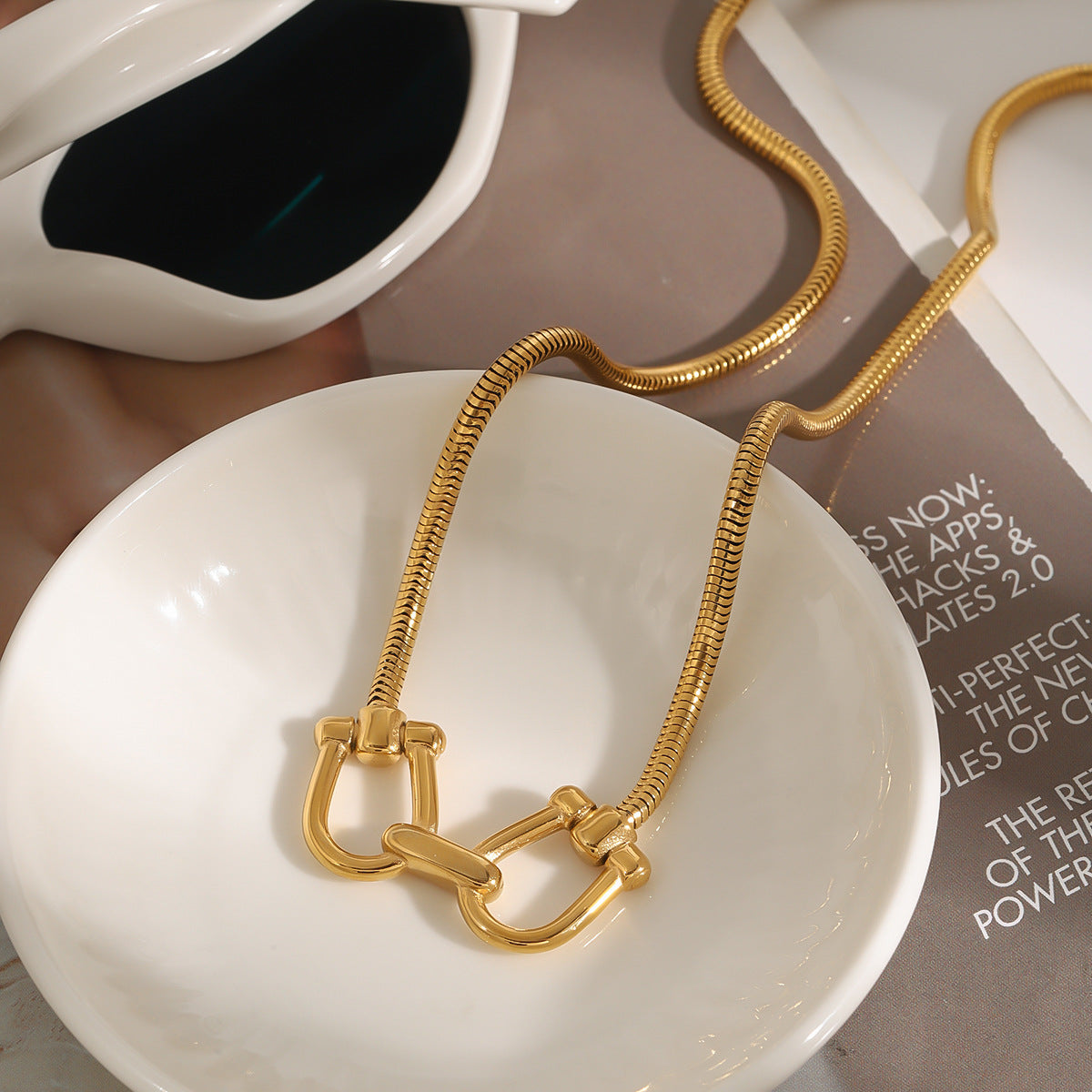 Titanium Steel Gold Choker Necklace